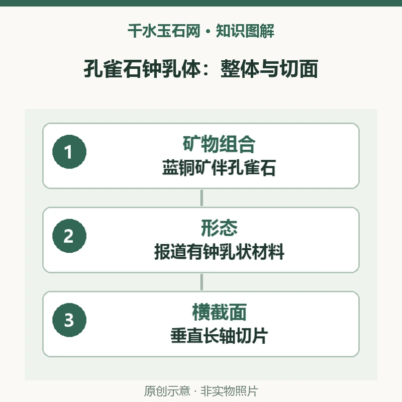 孔雀石也会出现玛瑙样同心纹吗？秘鲁钟乳体的横截面