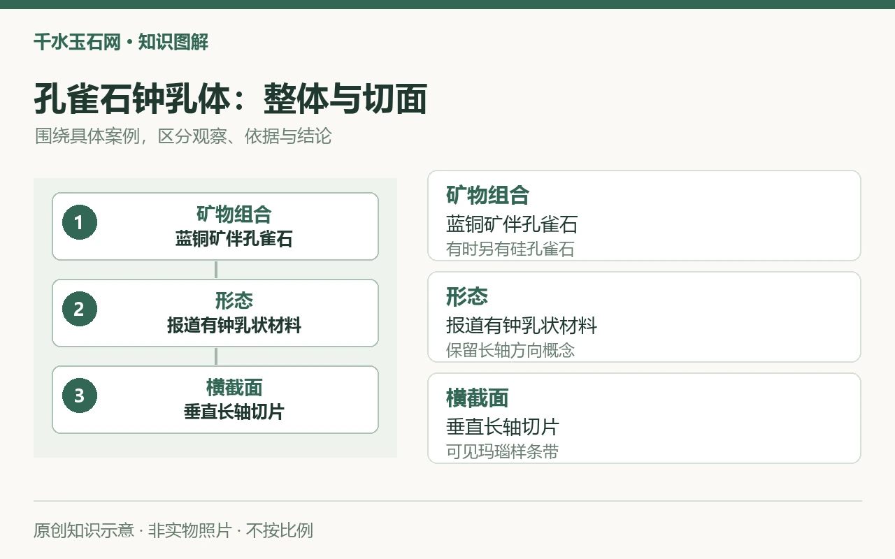 孔雀石钟乳体:整体与切面:矿物组合,蓝铜矿伴孔雀石,有时另有硅孔雀石;形态,报道有钟乳状材料,保留长轴方向概念;横截面,垂直长轴切片,可见玛瑙样条带。原创示意,非实物照片。