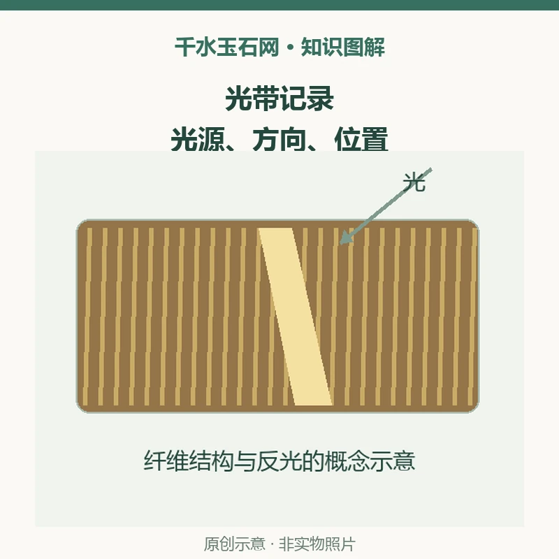 虎睛石的光带怎样记录？从GIA大型展品理解猫眼效应
