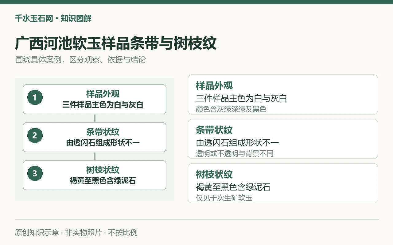 广西河池软玉样品条带与树枝纹:样品外观,三件样品主色为白与灰白,颜色含灰绿深绿及黑色;条带状纹,由透闪石组成形状不一,透明或不透明与背景不同;树枝状纹,褐黄至黑色含绿泥石,仅见于次生矿软玉。原创示意,非实物照片。